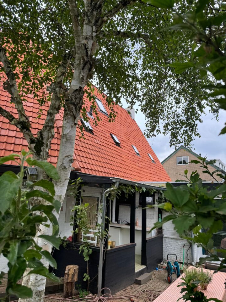 Renovatie pannendak Heelsum